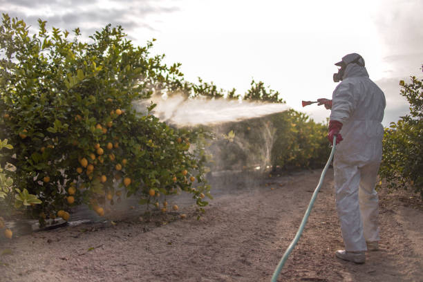 Best Local Pest Control Services  in Ocean View, DE