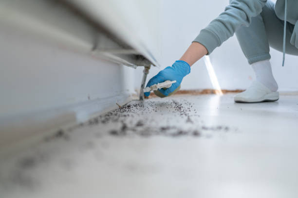 Best Pest Prevention Services  in Ocean View, DE